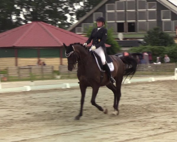 Reitturnier Schülp / Rendsburg 2022