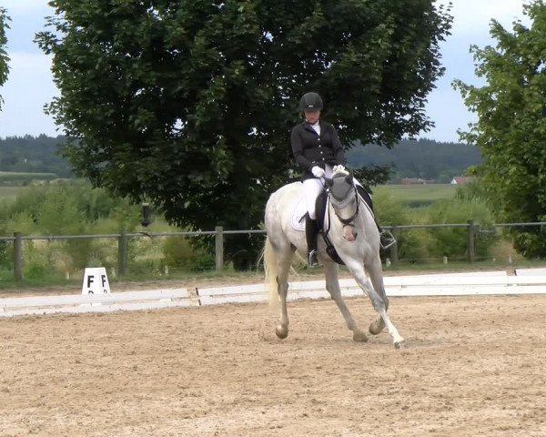 Reitturnier Biberach/Riß 2022