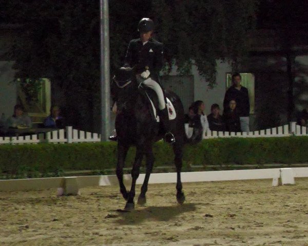 Reitturnier Neu-Anspach 2022