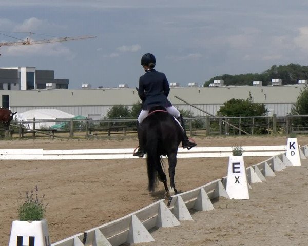 Reitturnier Biberach/Riß 2022