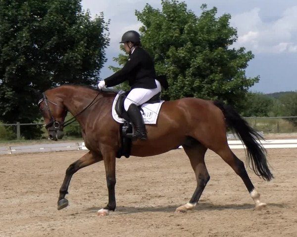 Reitturnier Biberach/Riß 2022