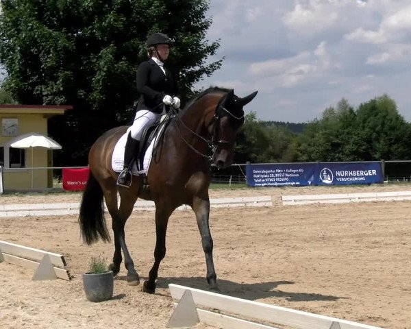 Reitturnier Biberach/Riß 2022
