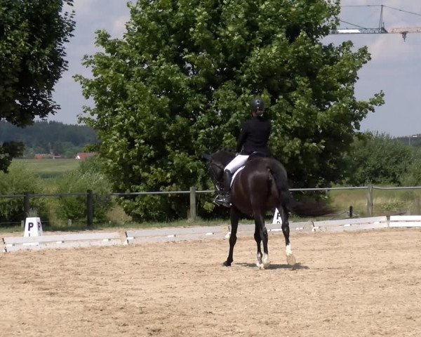 Reitturnier Biberach/Riß 2022