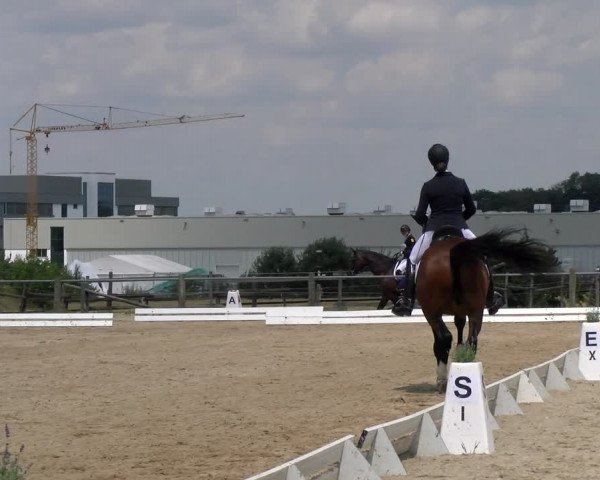 Reitturnier Biberach/Riß 2022