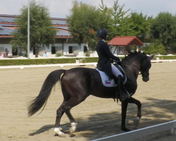 Reitturnier Neu-Anspach 2022