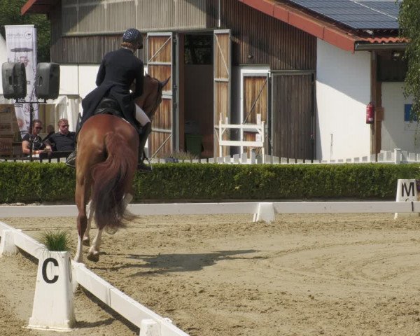 Reitturnier Neu-Anspach 2022