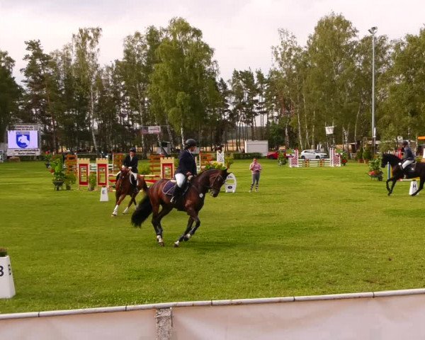 Reitturnier Etingen 2022