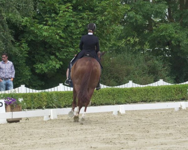 Reitturnier Neu-Anspach 2022