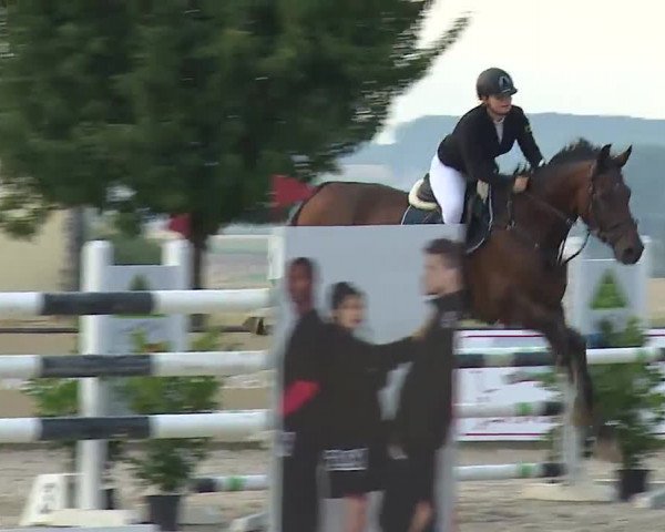Reitturnier Rot am See- Musdorf 2022