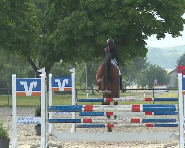 Reitturnier Rot am See- Musdorf 2022