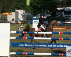 jumper Welcome Come Ba (German Riding Pony, 1998, from Come Down)