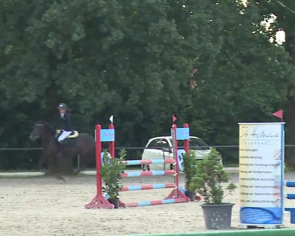 Reitturnier Rot am See- Musdorf 2022