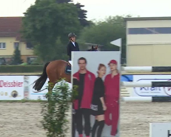 Reitturnier Rot am See- Musdorf 2022