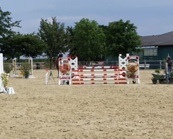 Reitturnier Salzkotten 2022