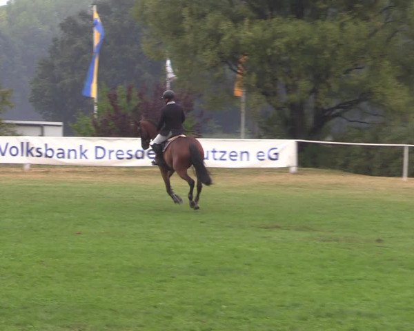 Reitturnier Baschütz bei Bautzen 2022