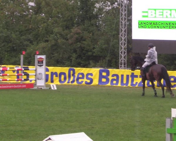 Reitturnier Baschütz bei Bautzen 2022