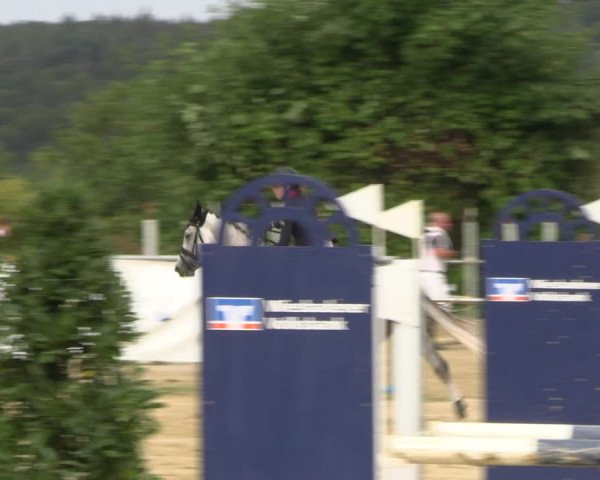 Reitturnier Panrod 2022