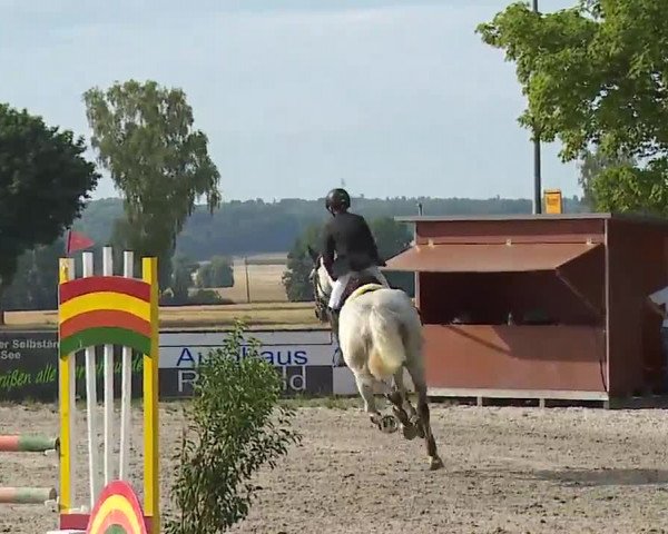 Reitturnier Rot am See- Musdorf 2022