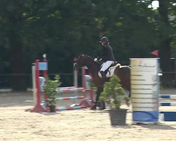 Reitturnier Rot am See- Musdorf 2022