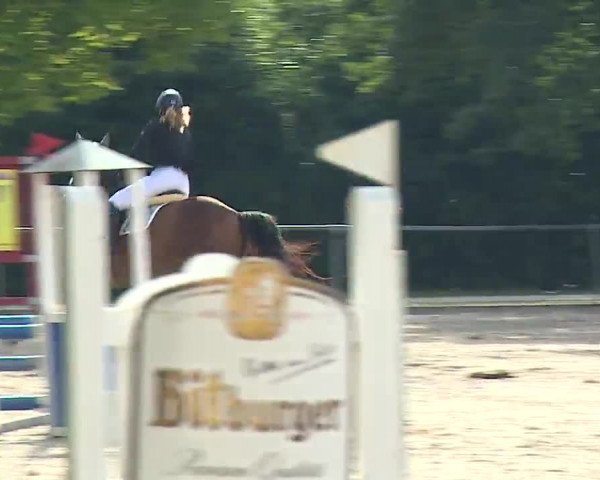 Reitturnier Rot am See- Musdorf 2022