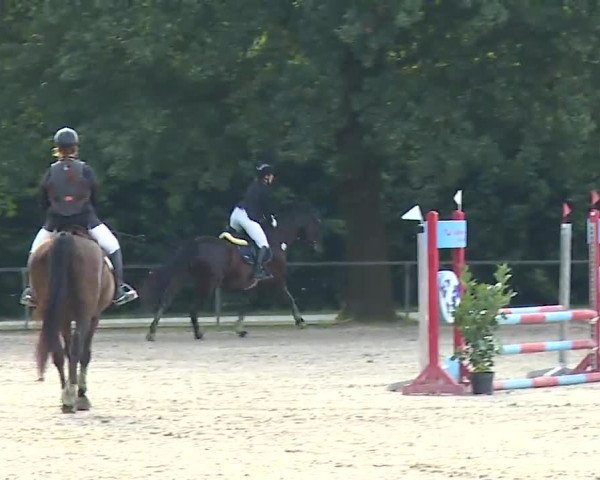 Reitturnier Rot am See- Musdorf 2022