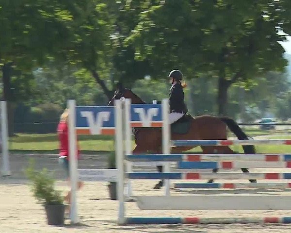 Reitturnier Rot am See- Musdorf 2022