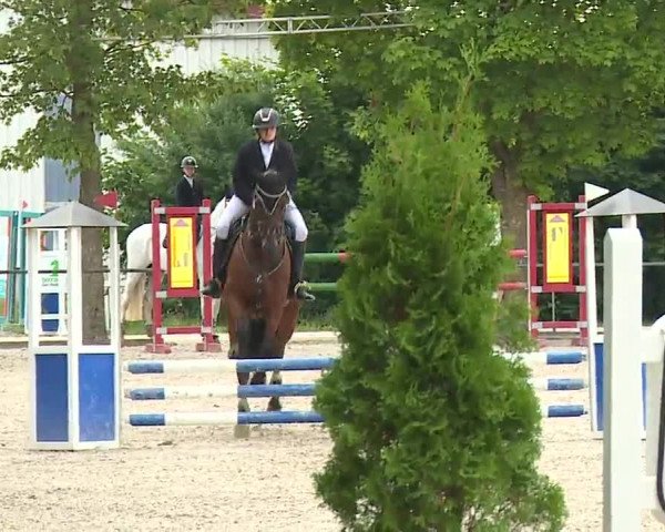 Reitturnier Rot am See- Musdorf 2022