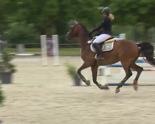 Reitturnier Rot am See- Musdorf 2022
