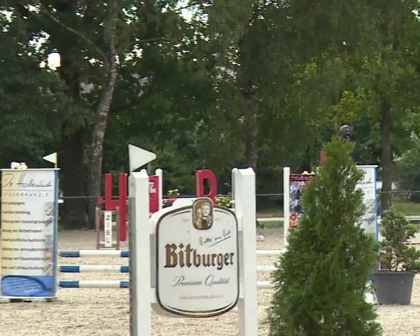 Reitturnier Rot am See- Musdorf 2022