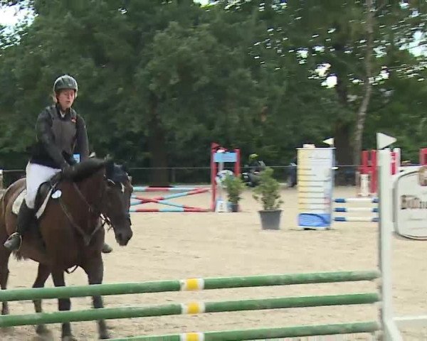Reitturnier Rot am See- Musdorf 2022