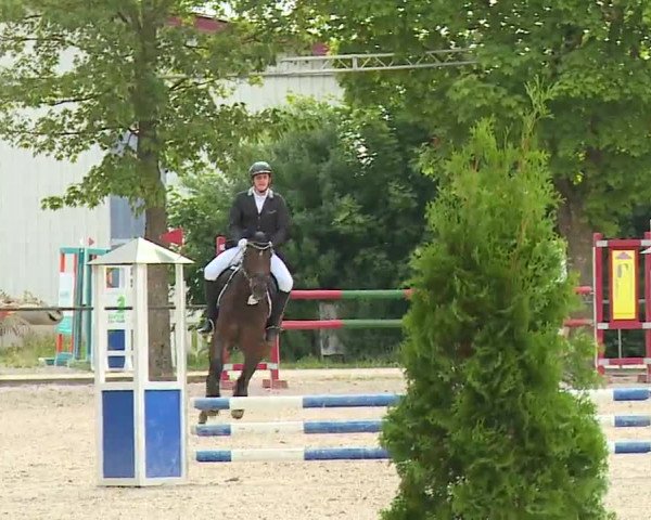Reitturnier Rot am See- Musdorf 2022