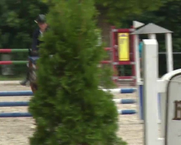 Reitturnier Rot am See- Musdorf 2022