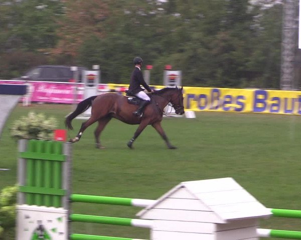 Reitturnier Baschütz bei Bautzen 2022