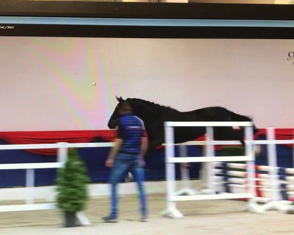 Video of I'm Special Dacora