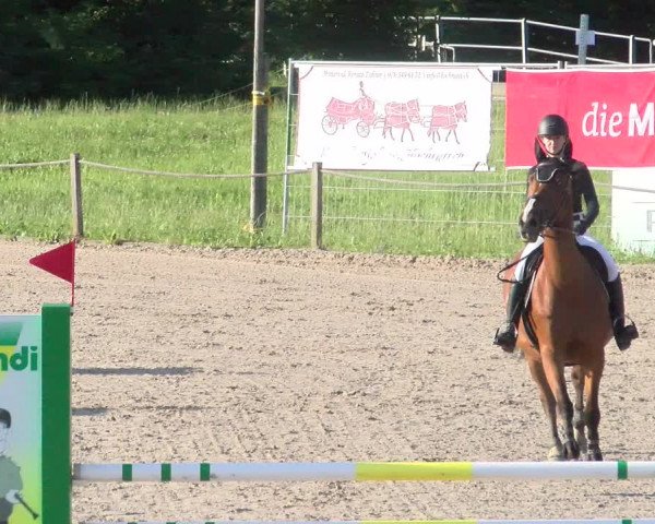 Reitturnier Gossau 2022