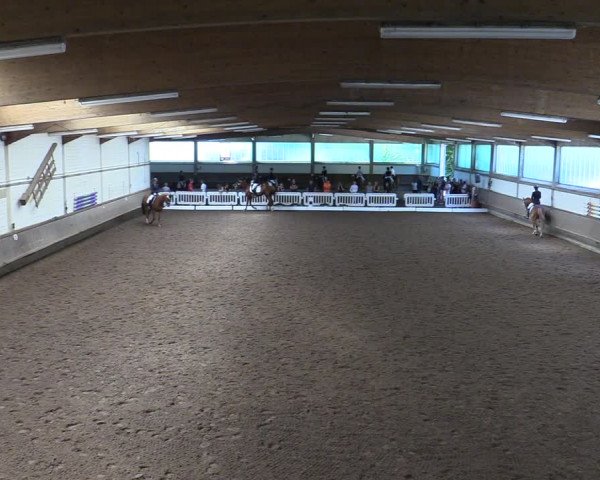 Reitturnier Clarholz 2022