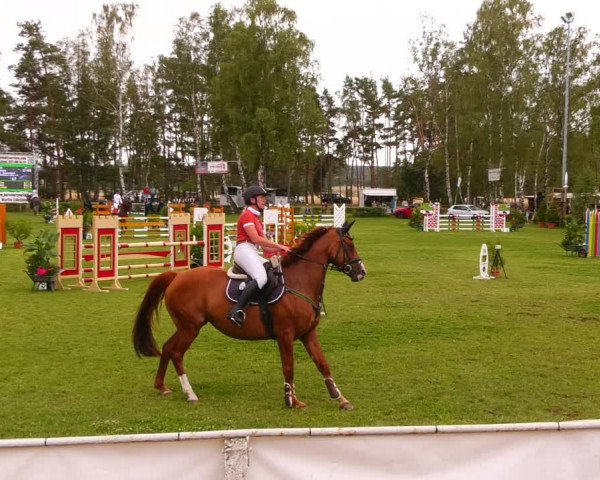 Reitturnier Etingen 2022