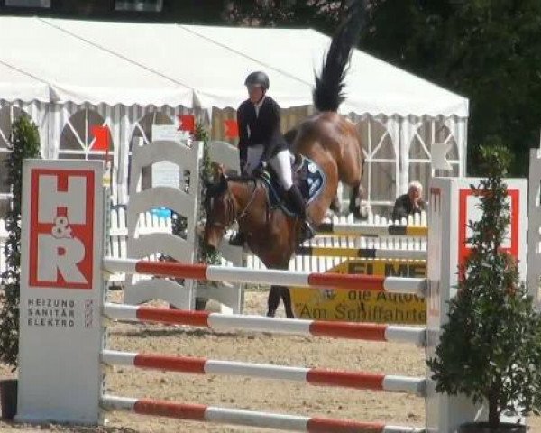 Springpferd Quite Maya (Holsteiner, 2008, von Quite Capitol)