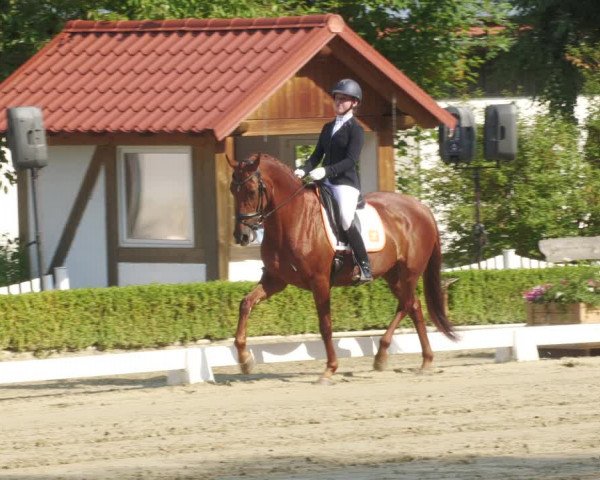 Reitturnier Neu-Anspach 2022