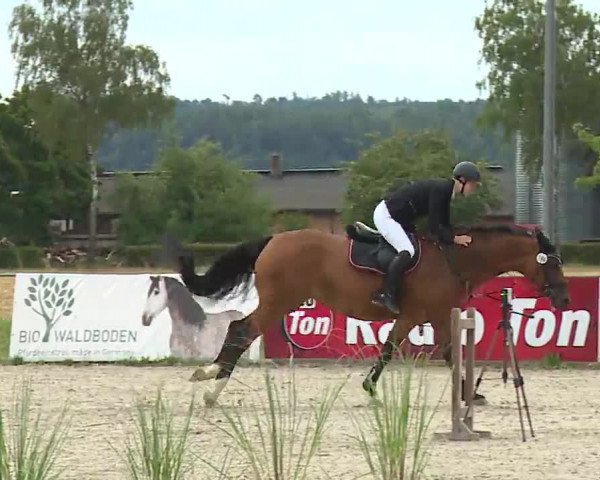 Reitturnier Rot am See- Musdorf 2022