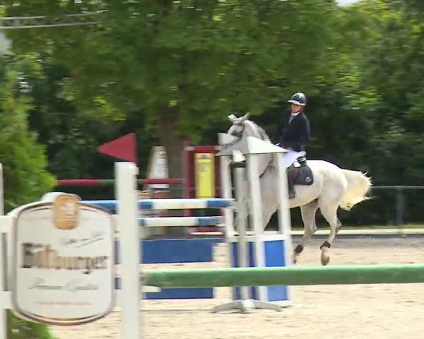 Reitturnier Rot am See- Musdorf 2022