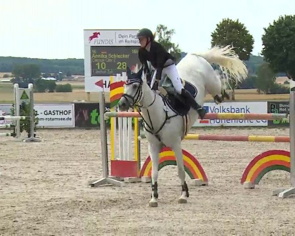 Reitturnier Rot am See- Musdorf 2022