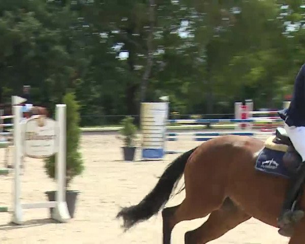 Reitturnier Rot am See- Musdorf 2022
