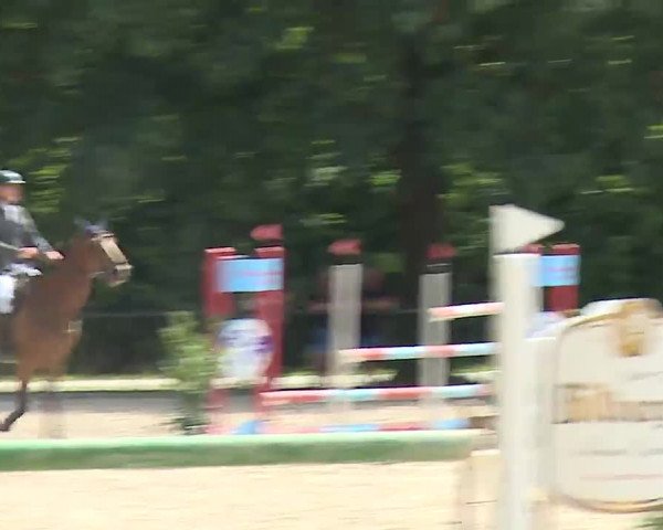 Reitturnier Rot am See- Musdorf 2022