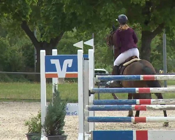 Reitturnier Rot am See- Musdorf 2022