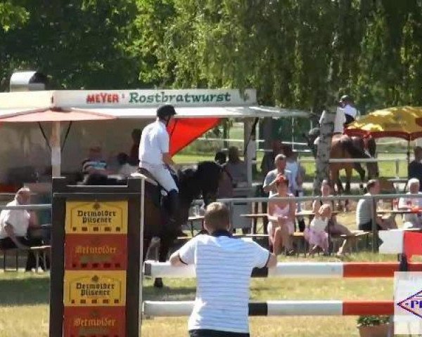 jumper Goofy 116 (Hanoverian, 2002, from Graf Grannus)