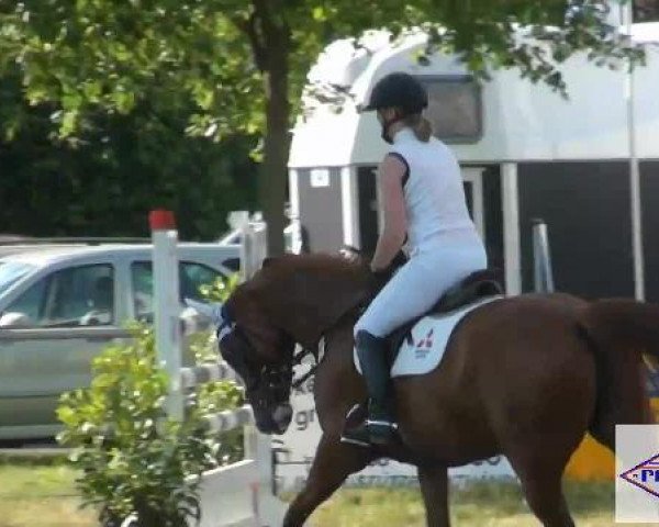 broodmare Baghira du Rouet (Oldenburg, 2004, from Balou du Rouet)