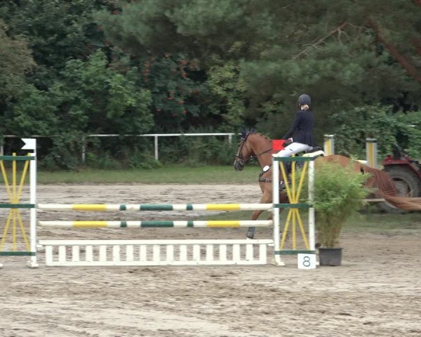 Reitturnier Volkmarode 2022