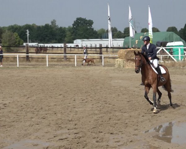 Reitturnier Volkmarode 2022