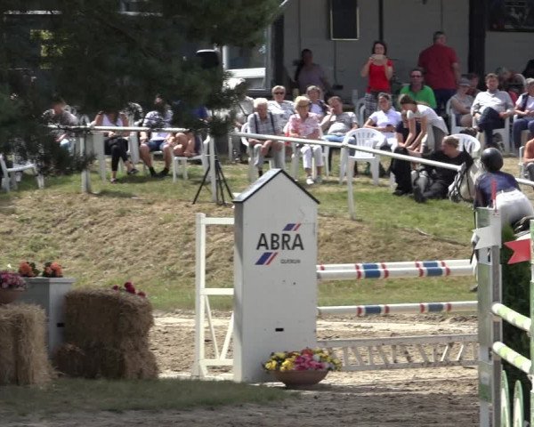 Reitturnier Volkmarode 2022